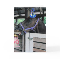Horseplay Cards