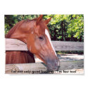 Horseprayerhorse, I'm not only good looking - I... posters