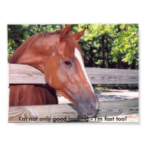 Horseprayerhorse, I'm not only good looking - I... posters by lucindaknowlton Horseprayerhorse, I'm not only good looking - I... posters