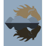 HorseReflection t-shirts