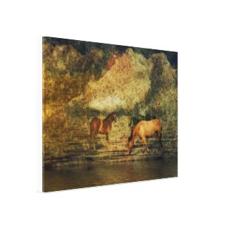 Horses4 Stretched Canvas Print