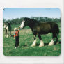 Horses 182 Mousepad