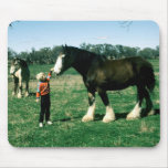 Horses 182 Mousepad