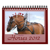 Horses 2012 Calender Wall Calendars