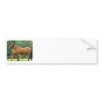 Horses 9A81D-10 bumper stickers by TraffordPhotos Horses 9A81D-10 bumper stickers