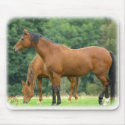 Horses 9A81D-10 mousepads