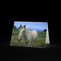 Horses adorably cute cards