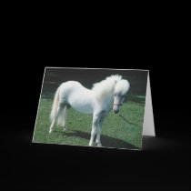 Horses adorably cute cards