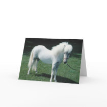 Horses adorably cute cards