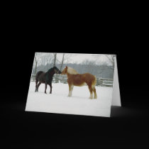 Horses adorably cute cards