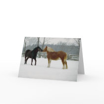 Horses adorably cute cards