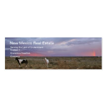 Horses After the Storm Business Card Template