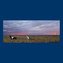 Horses After the Storm posters
