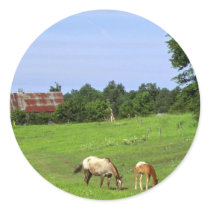 Horses And Colt Sticker
