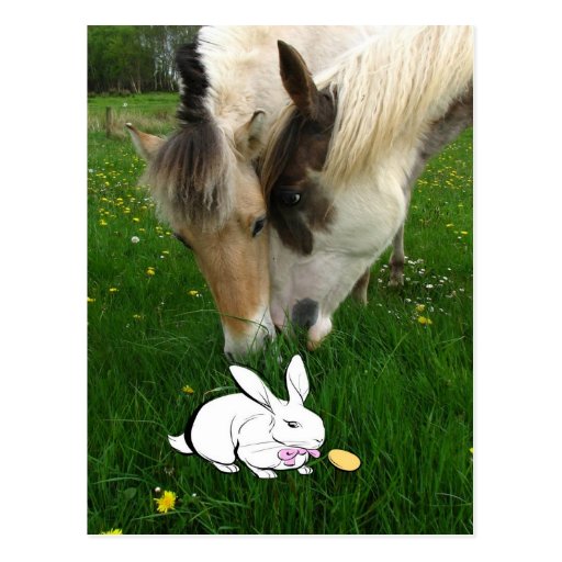 Horses and Easter Bunny Postcard Zazzle