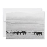 Horses and Ponies  Invitation
