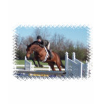 horse, horse show, horse hunter, hunter jumper,