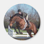 Horses and Show Jumping Round Magnet