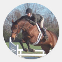 Horses and Show Jumping Stickers