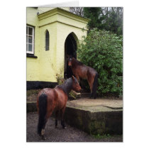 Horses at a pub cards by epollaert Horses at a pub cards