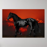 Horses at silhouette at sunset posters