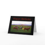 Horses at Sunset Happy Birthday Cards