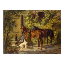 Horses at the Porch Postcards