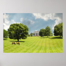 Horses at the Ranch Print