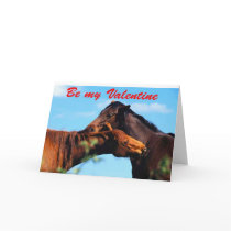 Horses...Be my Valentine Cards
