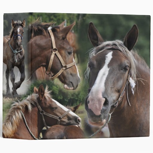 horses binder | Zazzle