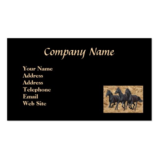 Horses Black Beauties Business Card (back side)