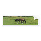 standard_bumpersticker - Grazing horses.