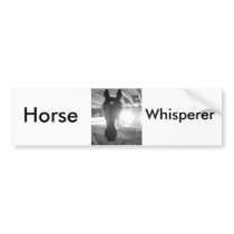 Horses bumper stickers by Incatneato Horses bumper stickers