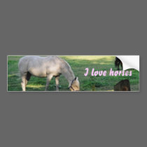 Horses bumper stickers