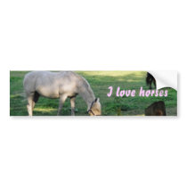 Horses bumper stickers