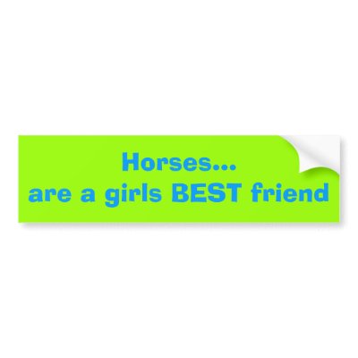 Horses Bumper Sticker by spiffy21