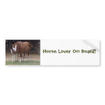 Horses Bumper Sticker bumper stickers