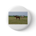 Horses Pinback Button
