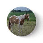 Horses Button