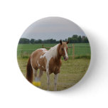 Horses Pin