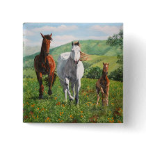 horses buttons