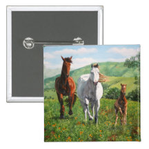 horses buttons