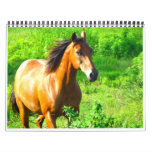 Horses Calendar