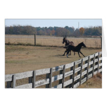 Horses cards