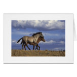 Horses Card
