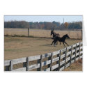 Horses cards