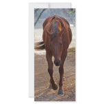 Horses coming home personalized rack card