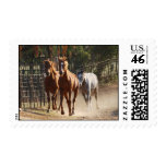 Horses coming home stamps
