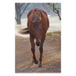 Horses coming home stationery paper