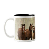 Horses cresting small hill during roundup, 2 mugs